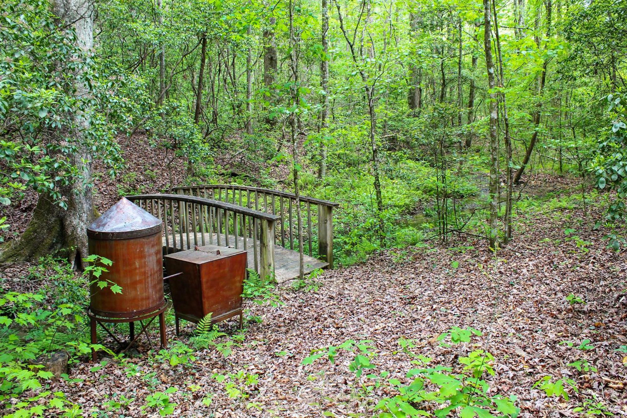 Sautee Nacoochee Mtn Paradise With Spacious Deck! Екстер'єр фото